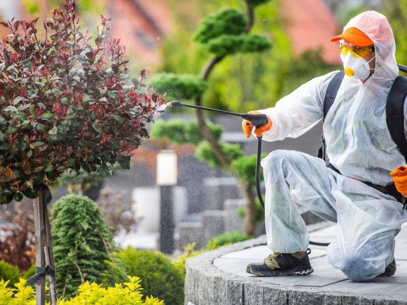 Bahçe Haşere İlaçlama