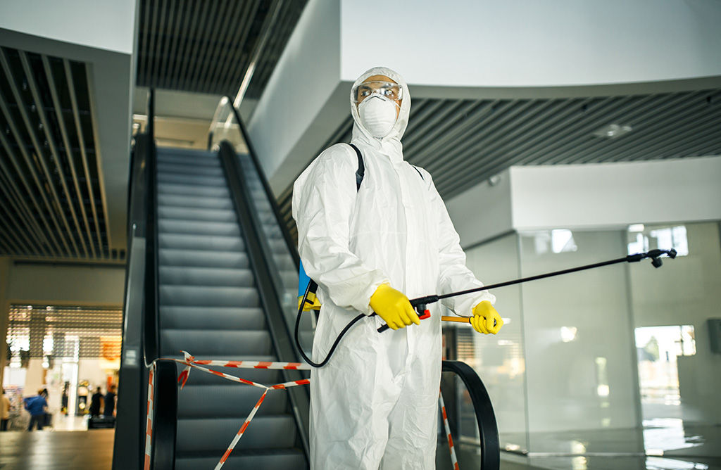 Bahçe Haşere İlaçlama